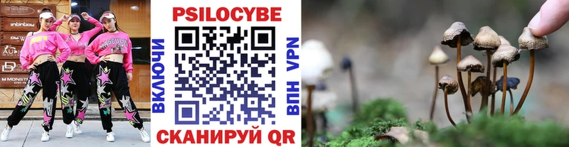 MEGA tor  Давлеканово  Псилоцибиновые грибы Cubensis 